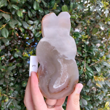 Agate Slices - Random shapes - B Grade