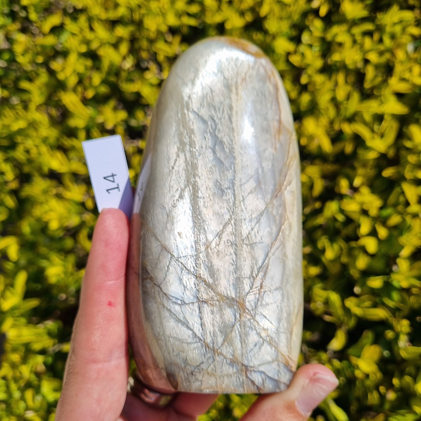 Silver Moonstone Freeform