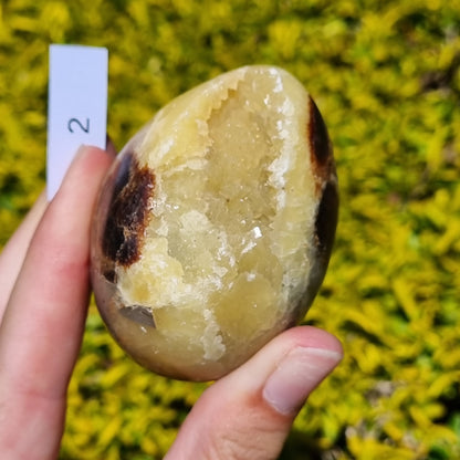 Yellow Septarian Dragon Egg - Madagascar - Smaller Sizes