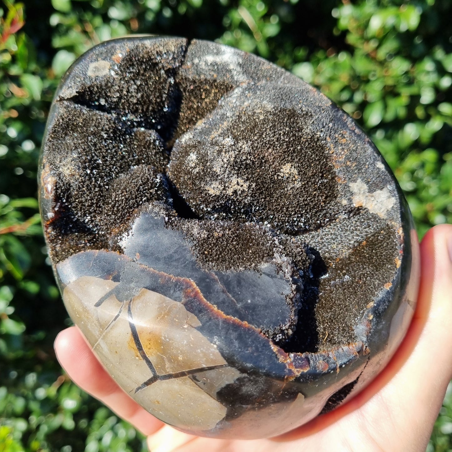 Septarian Dragon Egg - Madagascar - 2.121kg