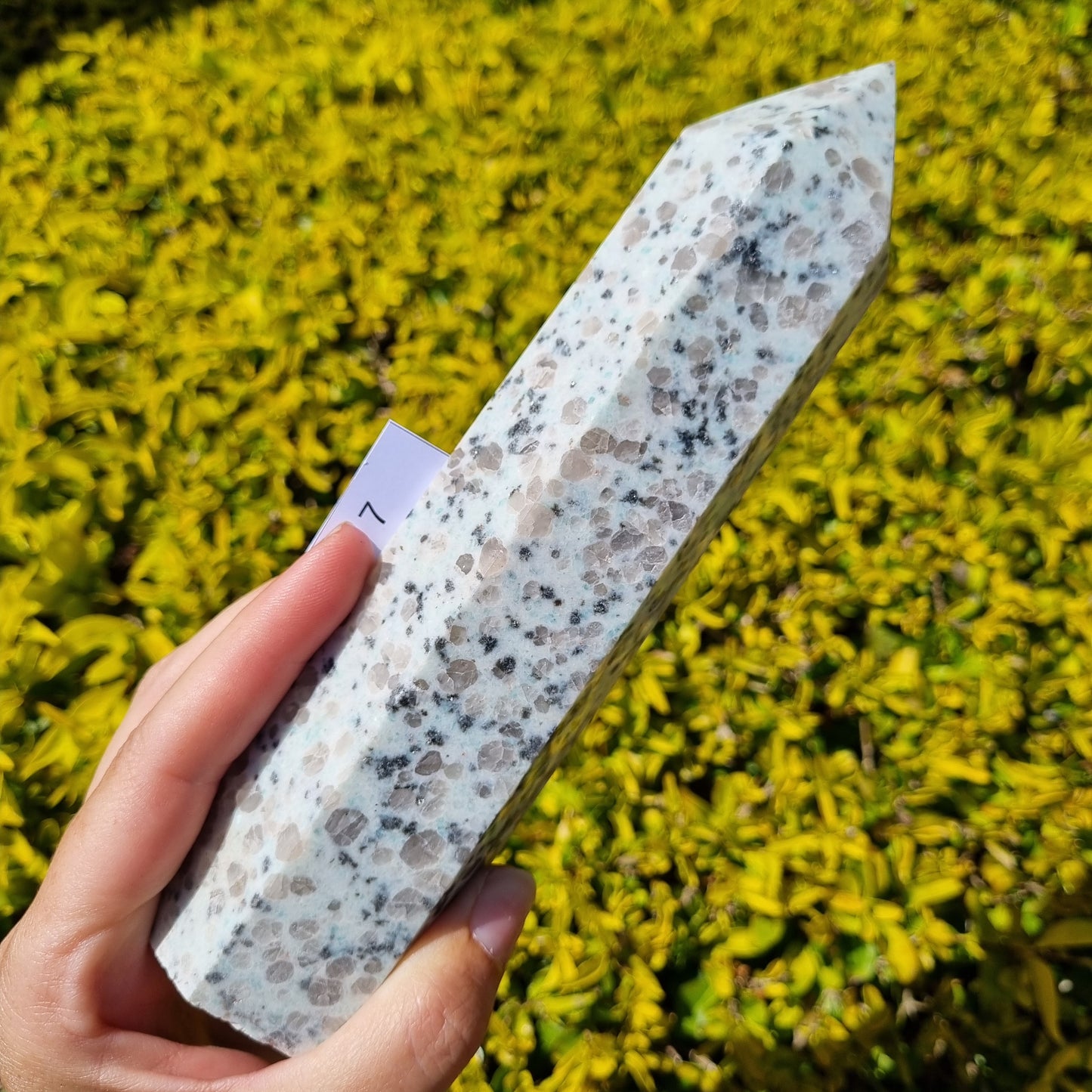 Kiwi Jasper Large Towers