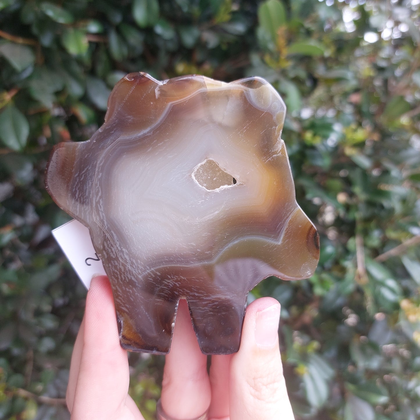 Agate Slices - Random shapes - B+ Grade