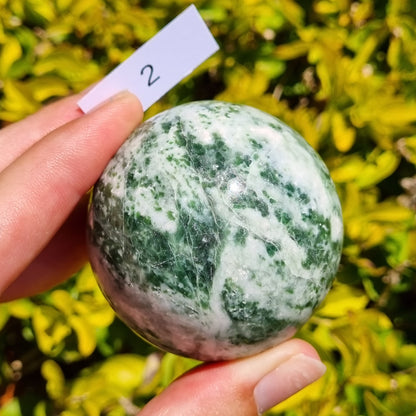 Tree Agate Sphere
