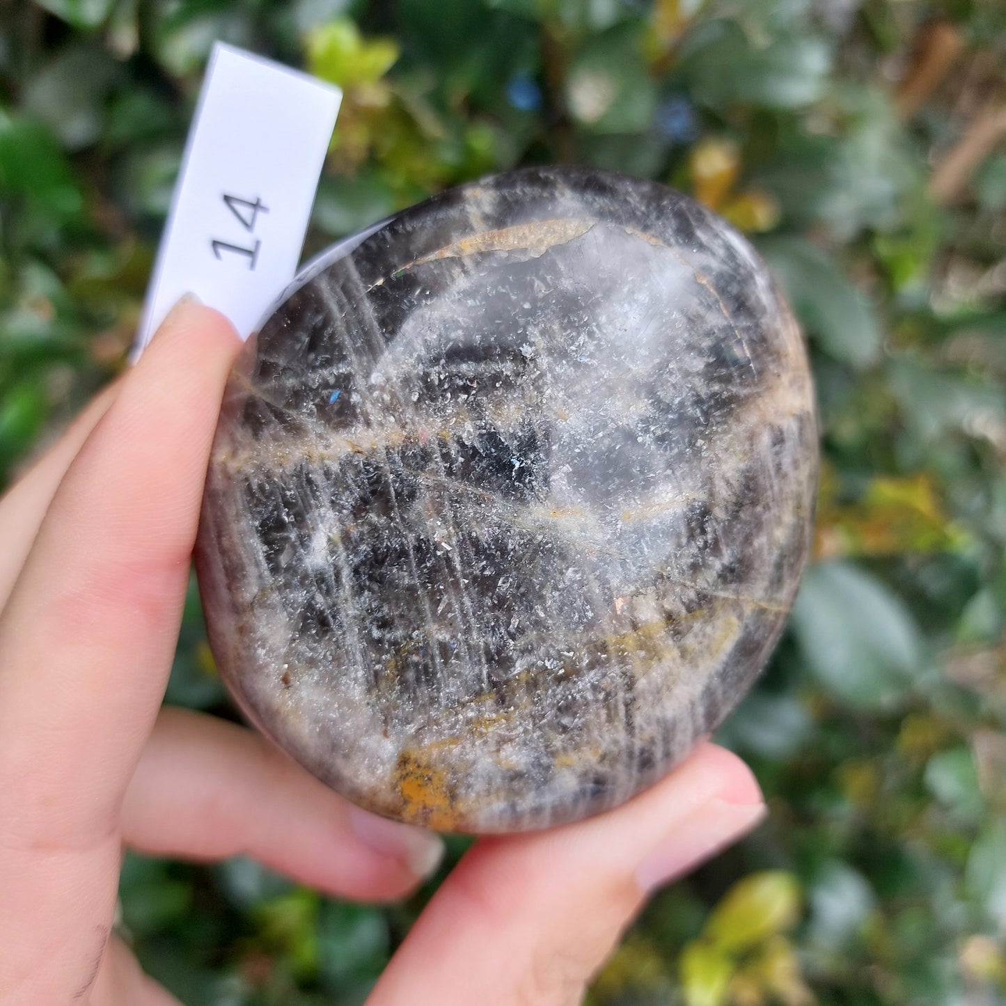 Black Moonstone Palm Stone - Madagascar - Nice flash!