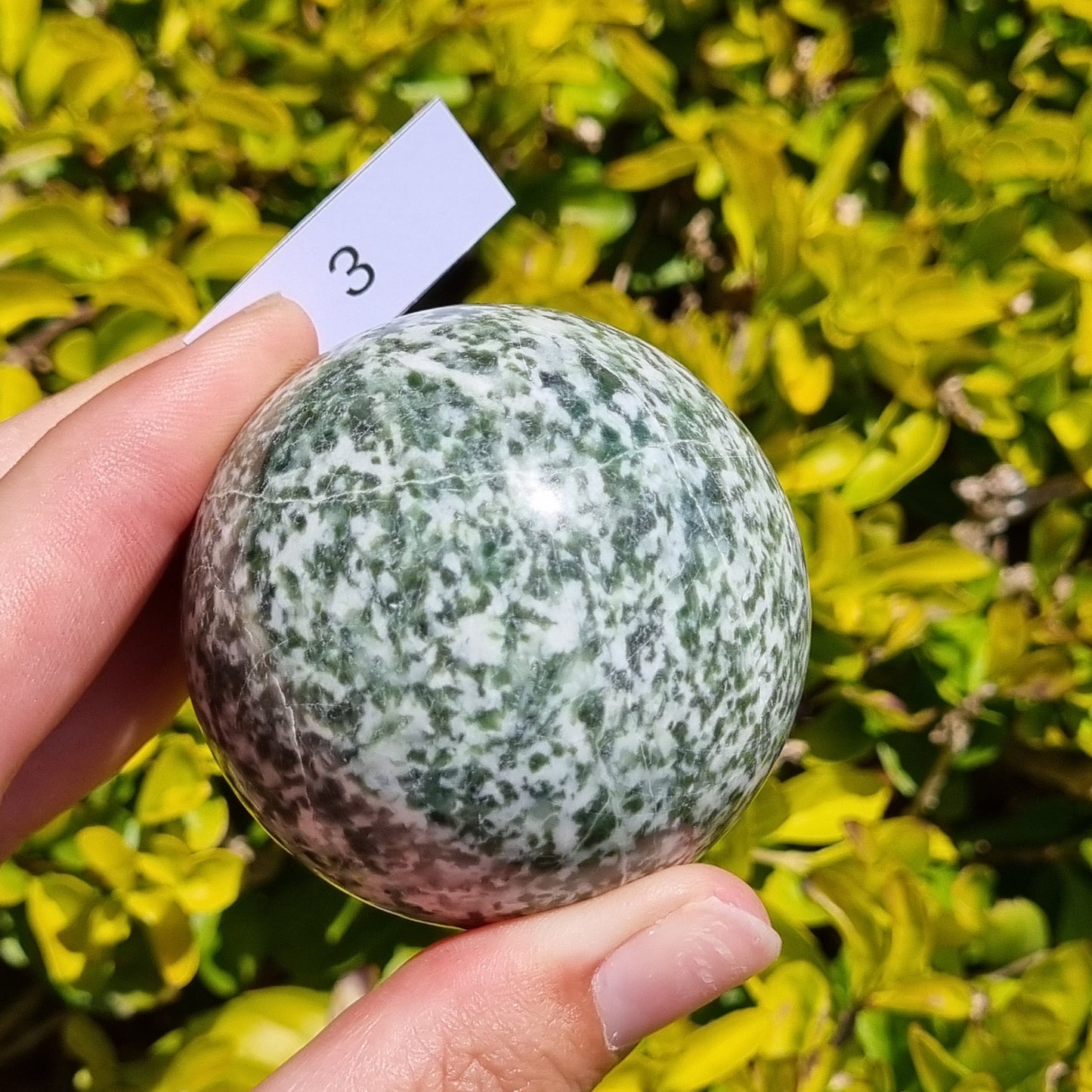 Tree Agate Sphere