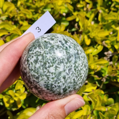 Tree Agate Sphere