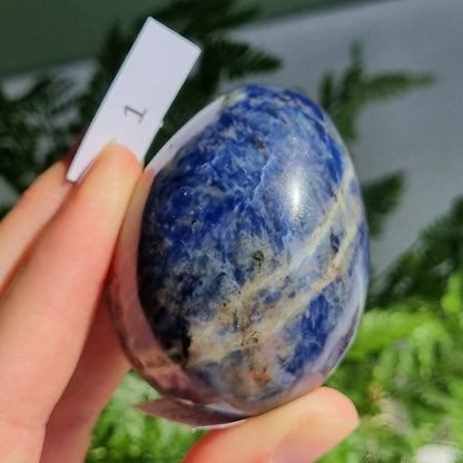 Sodalite Egg - India