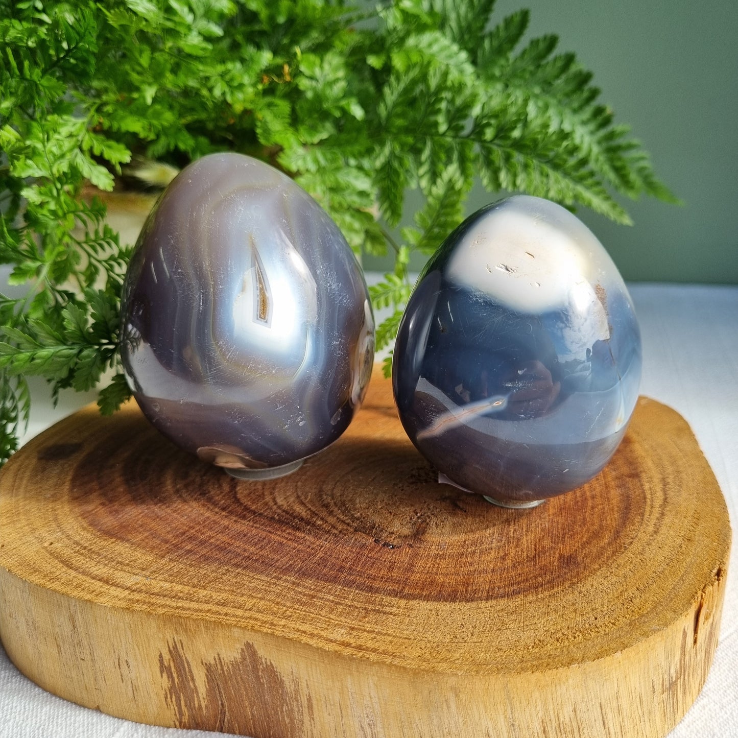 Orca Agate Egg - Madagscar