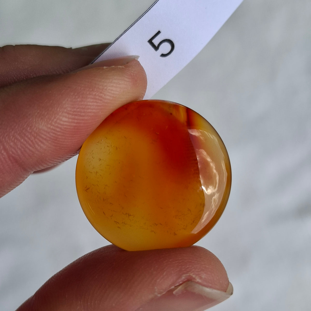 Carnelian Cabochon