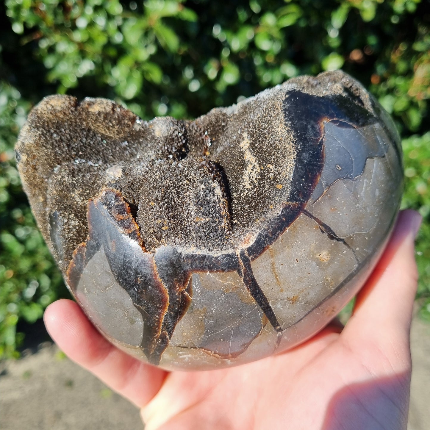 Septarian Dragon Egg - Madagascar - 1.706kg