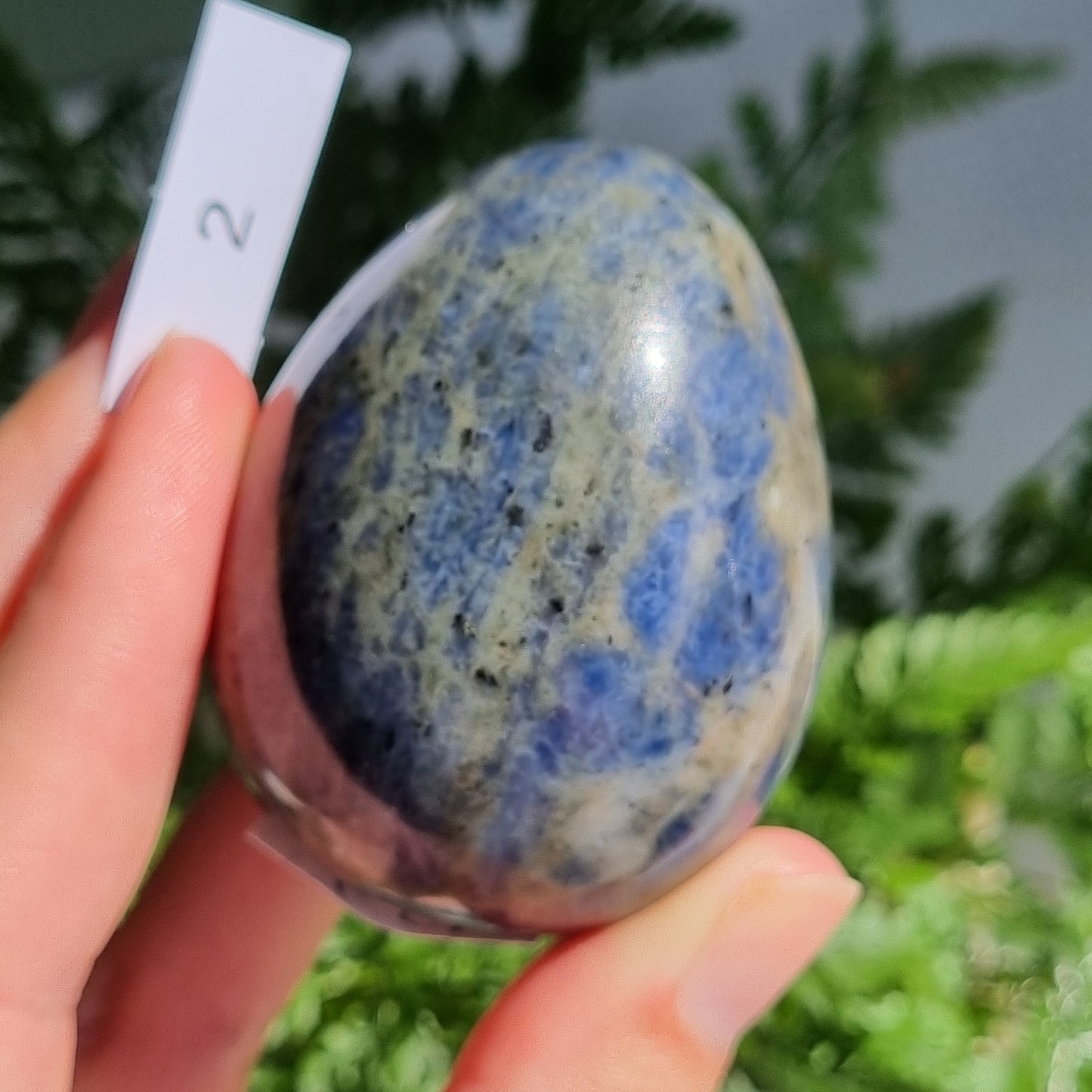 Sodalite Egg - India