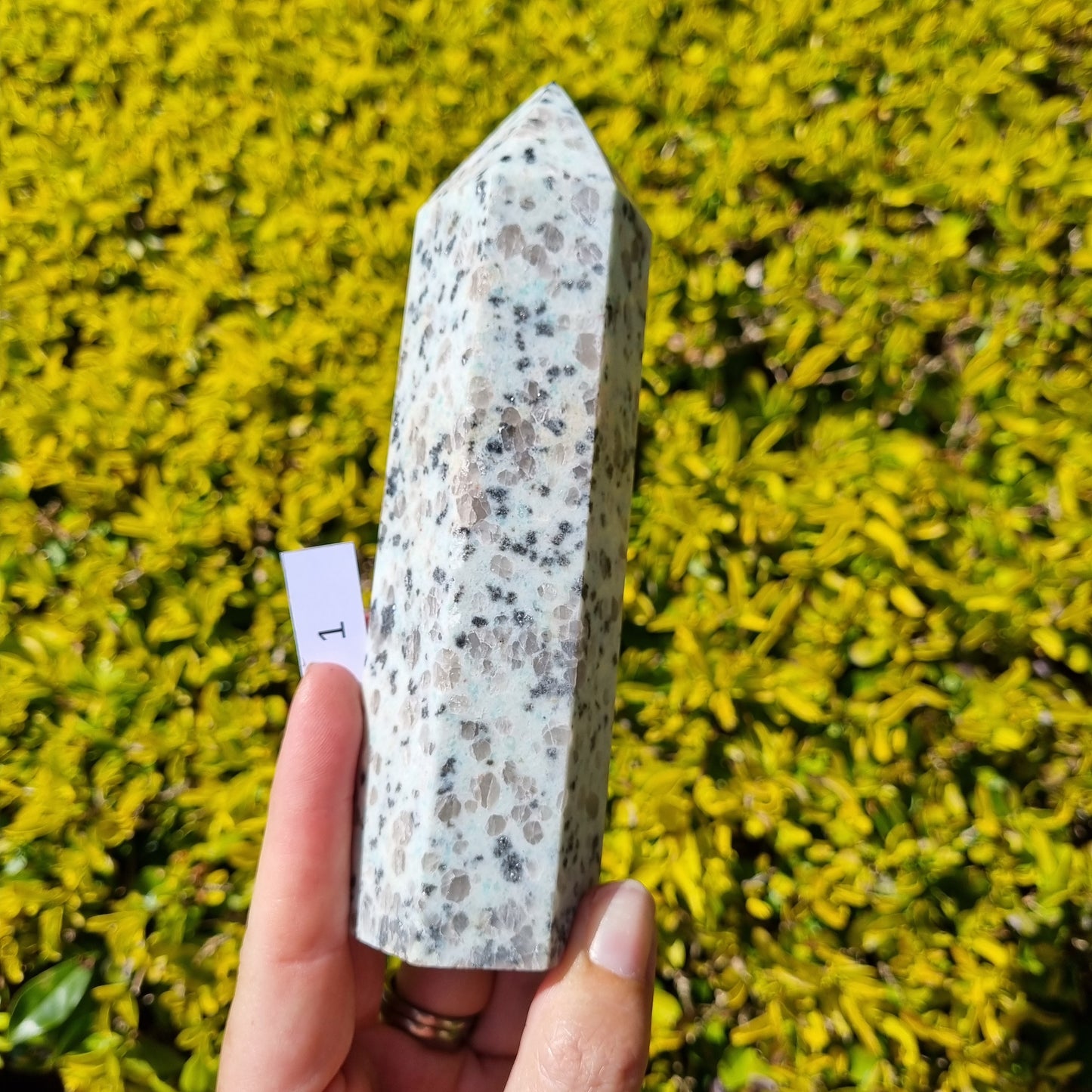 Kiwi Jasper Large Towers