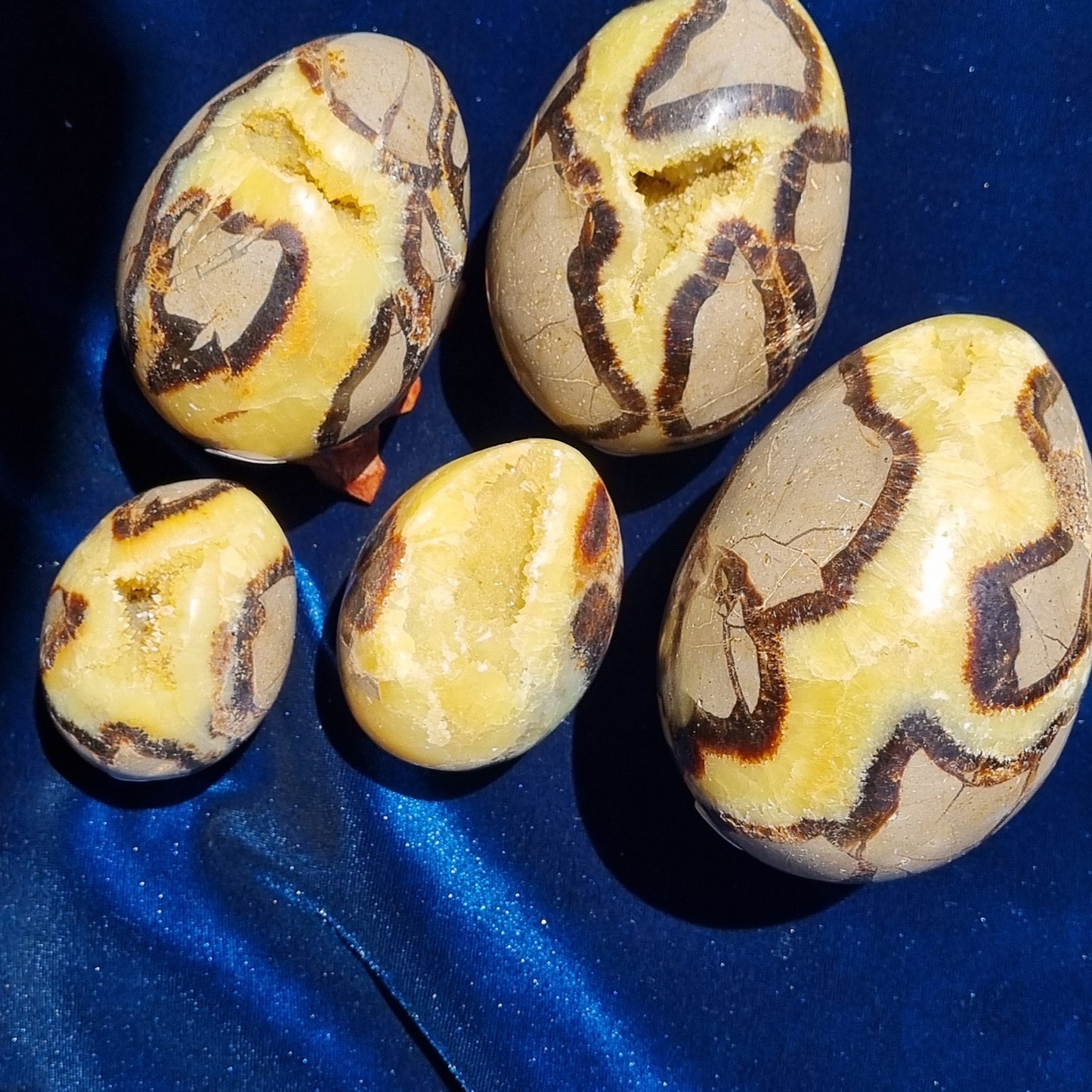 Yellow Septarian Dragon Egg - Madagascar - Smaller Sizes