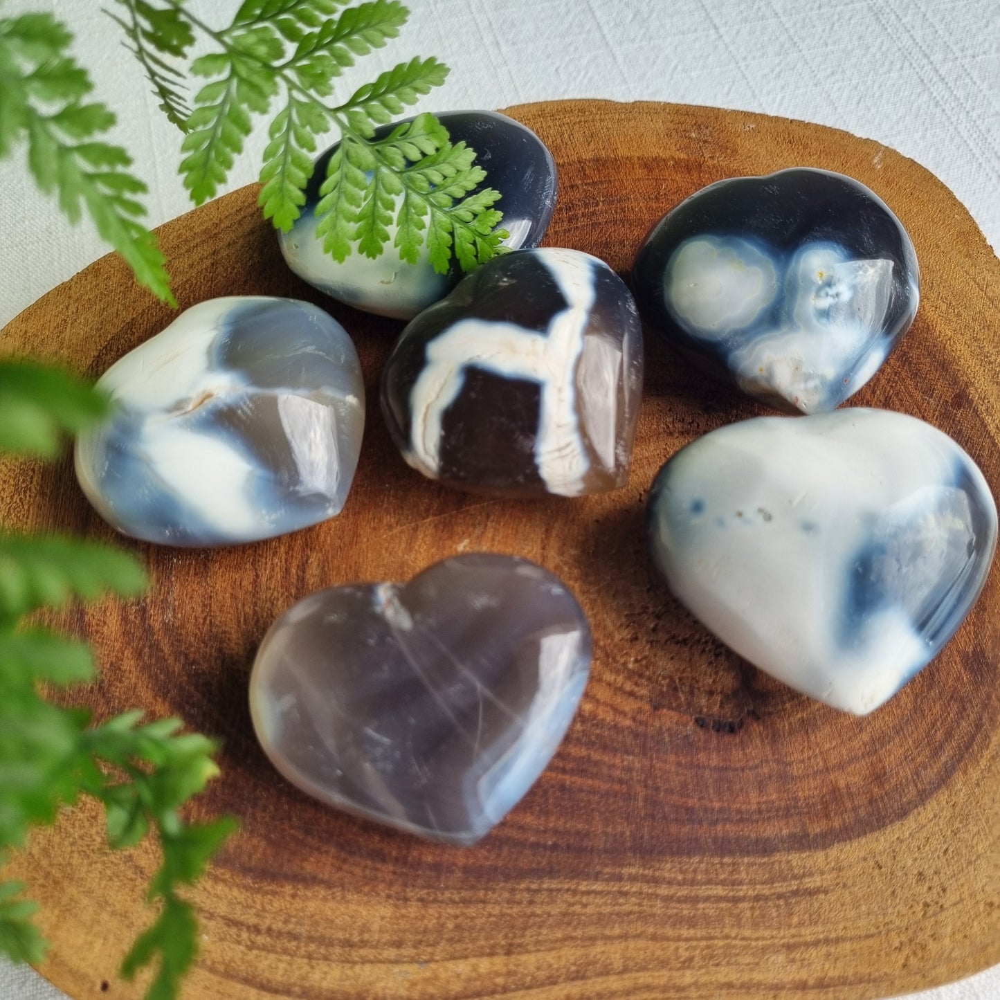 Orca Agate Heart