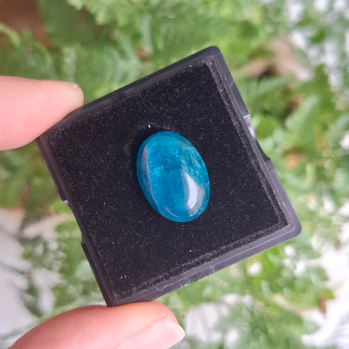 Blue Apatite Cabochon - 13 x 18mm