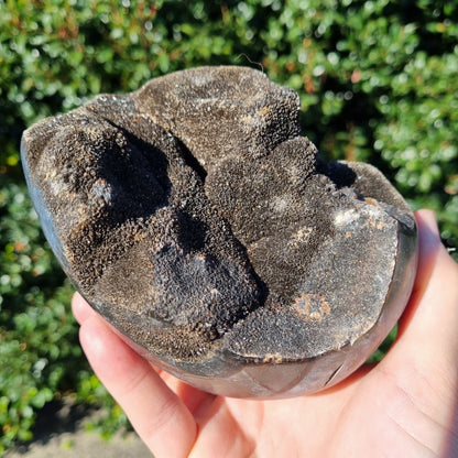 Septarian Dragon Egg - Madagascar - 1.778kg