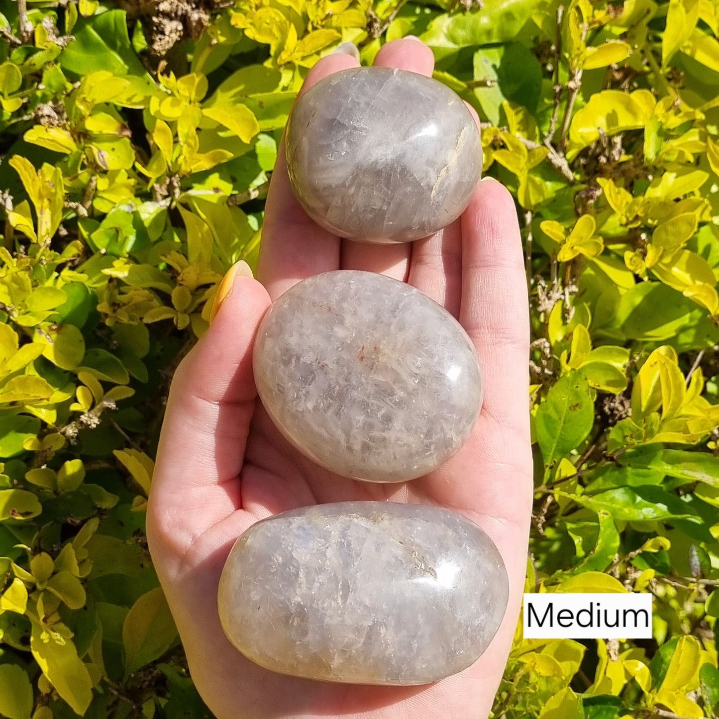 Blue Rose Quartz (Girasol) Palmstone - Madagascar