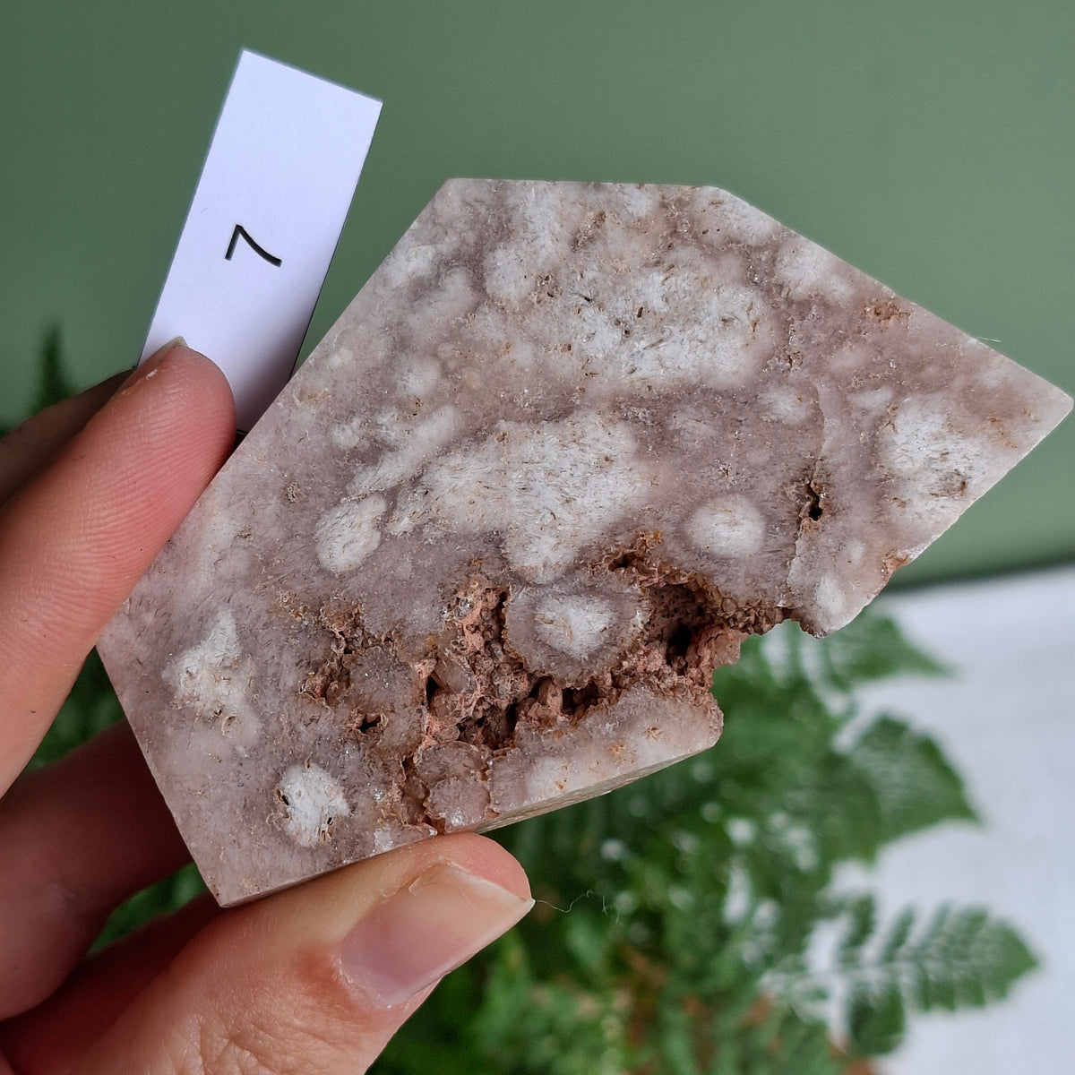 Flower Agate Freeforms
