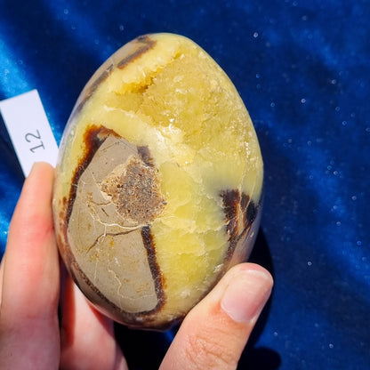 Yellow Septarian Dragon Egg - Madagascar - Smaller Sizes