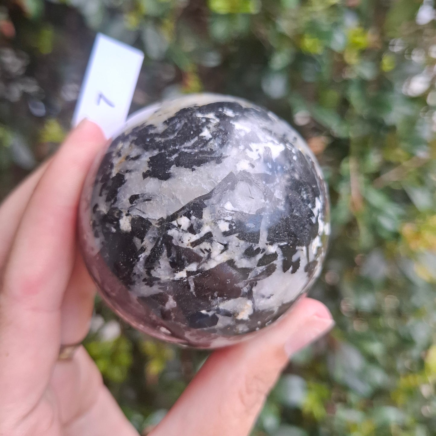 Tourmaline in Quartz Sphere - Madagascar