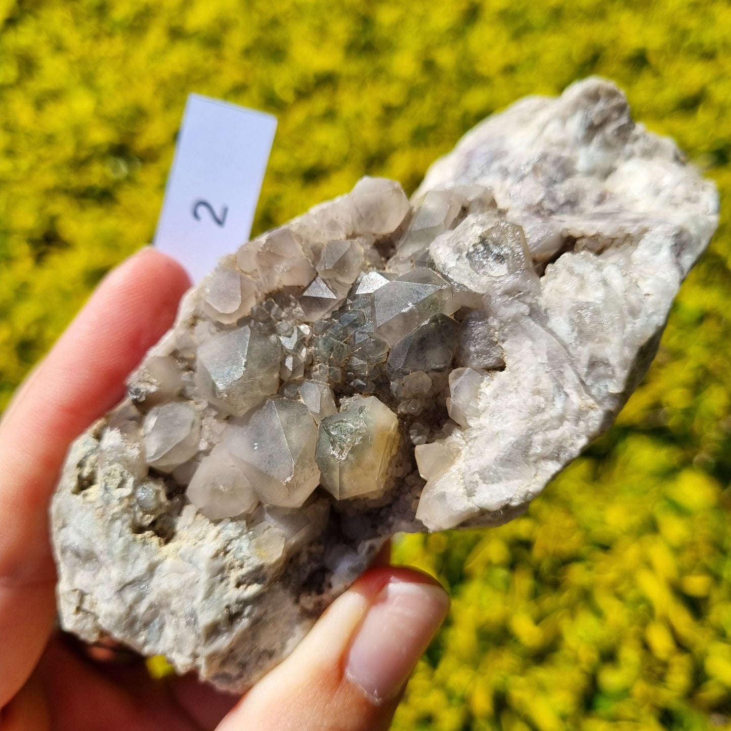 Quartz Cluster - Australia