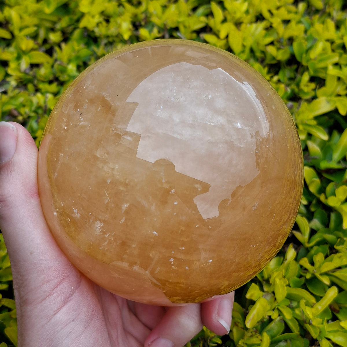 Golden Calcite Sphere - 1.66 kg