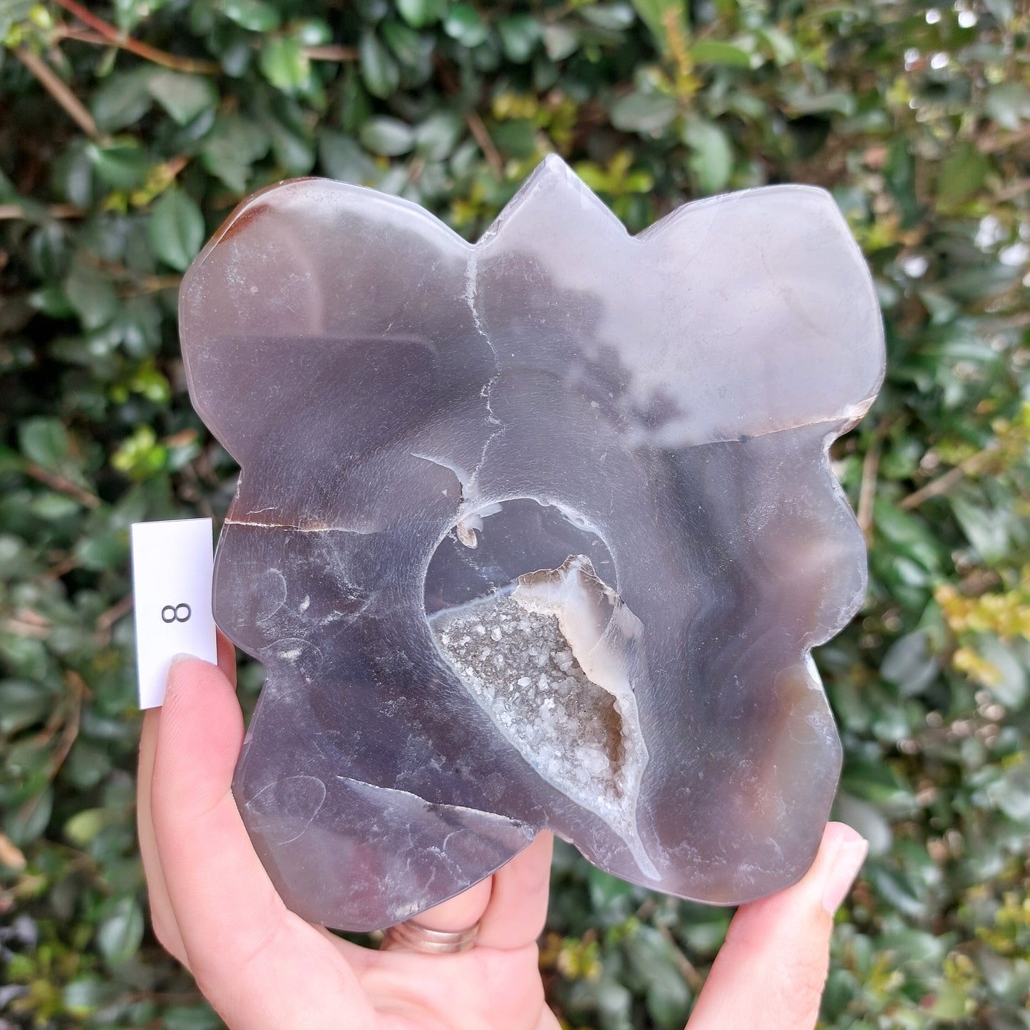 Agate Slices - Random shapes - B Grade