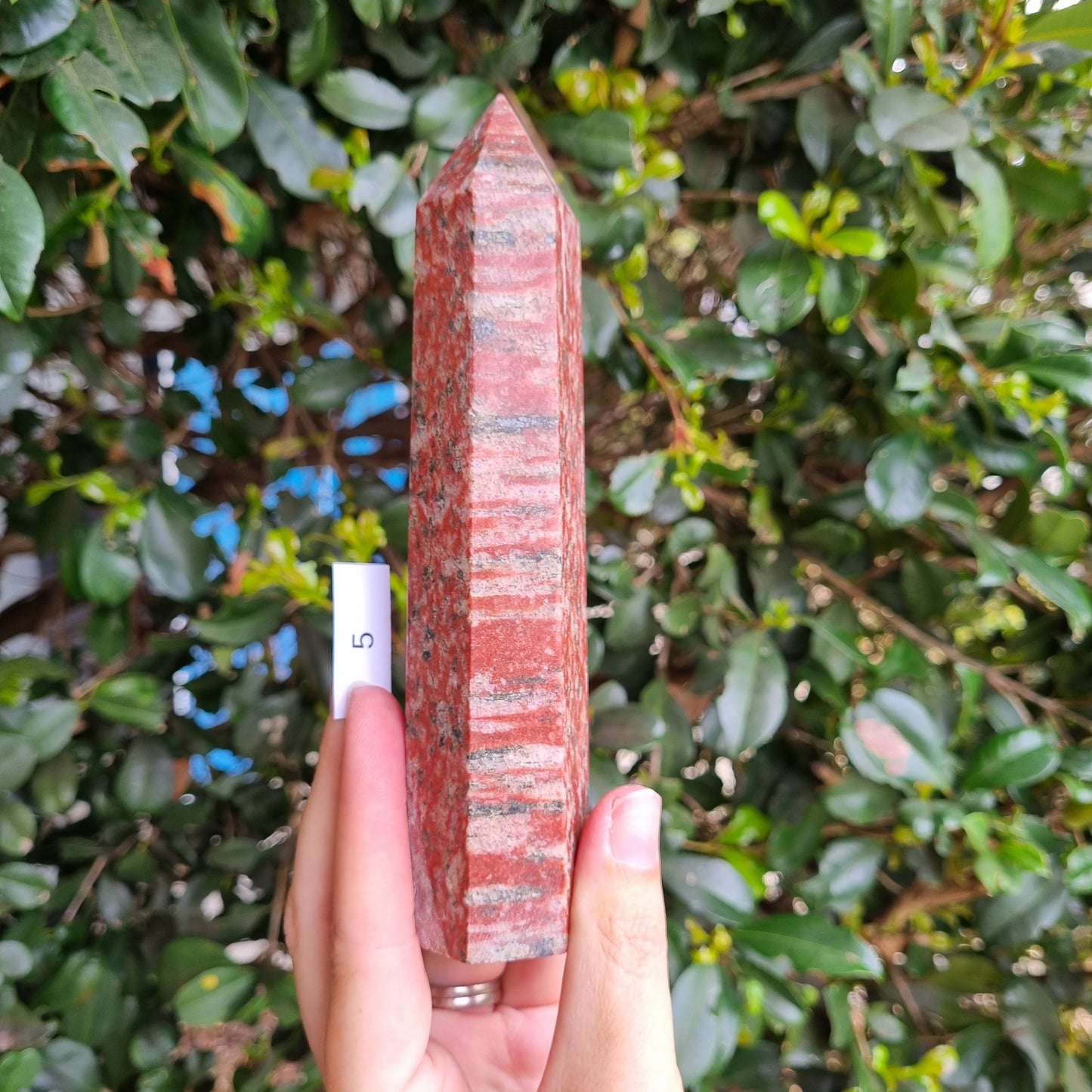 Tiger Granite Towers - India