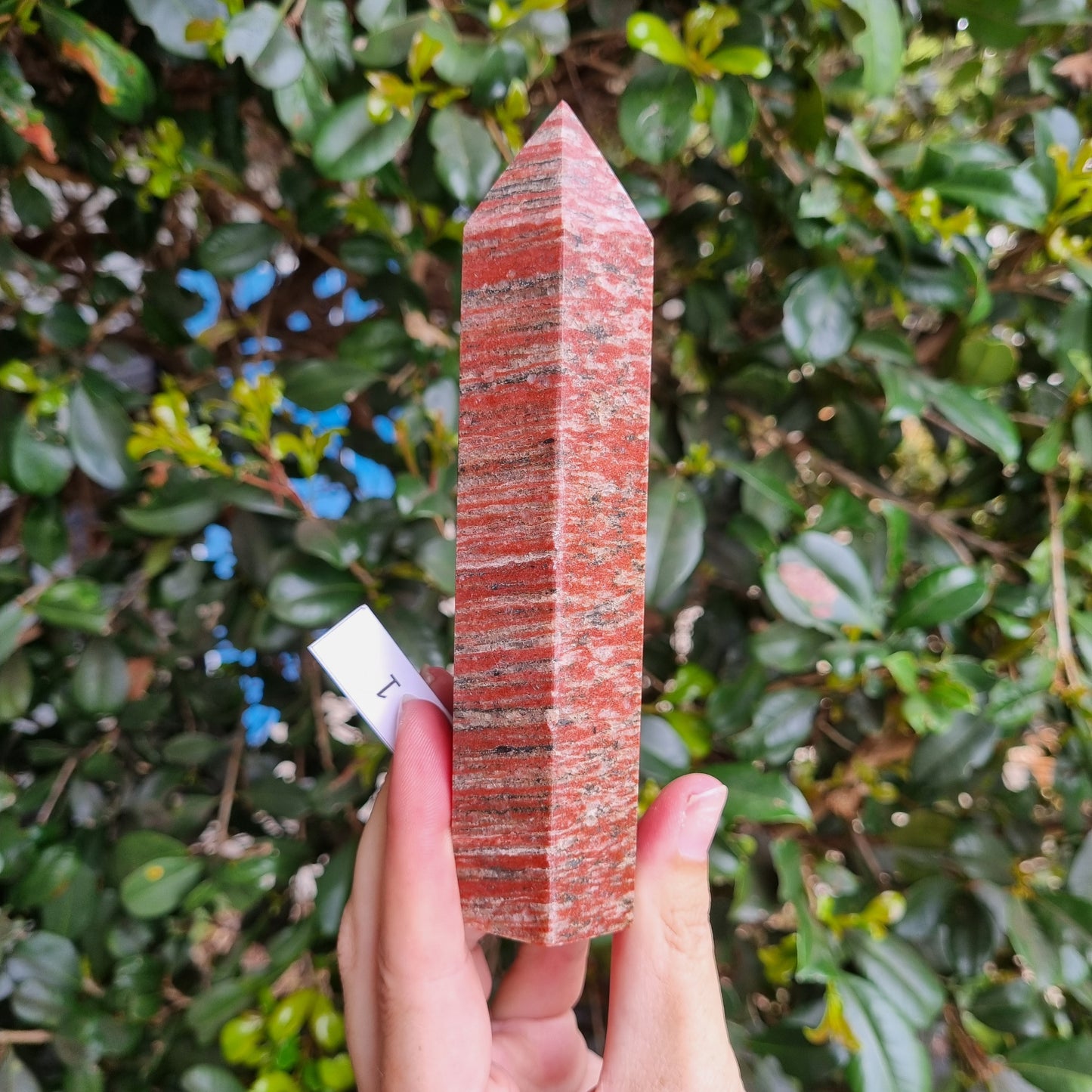 Tiger Granite Towers - India