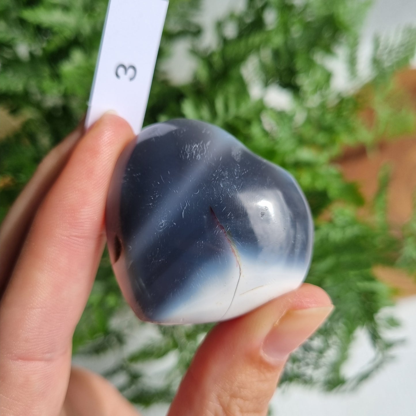 Orca Agate Heart
