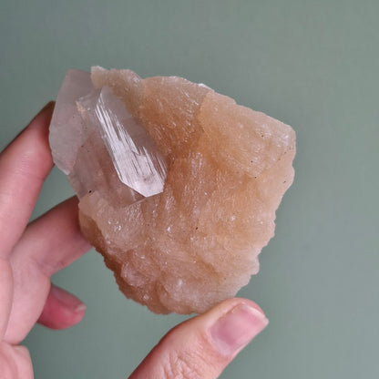 Zeolite Cluster - 206 grams