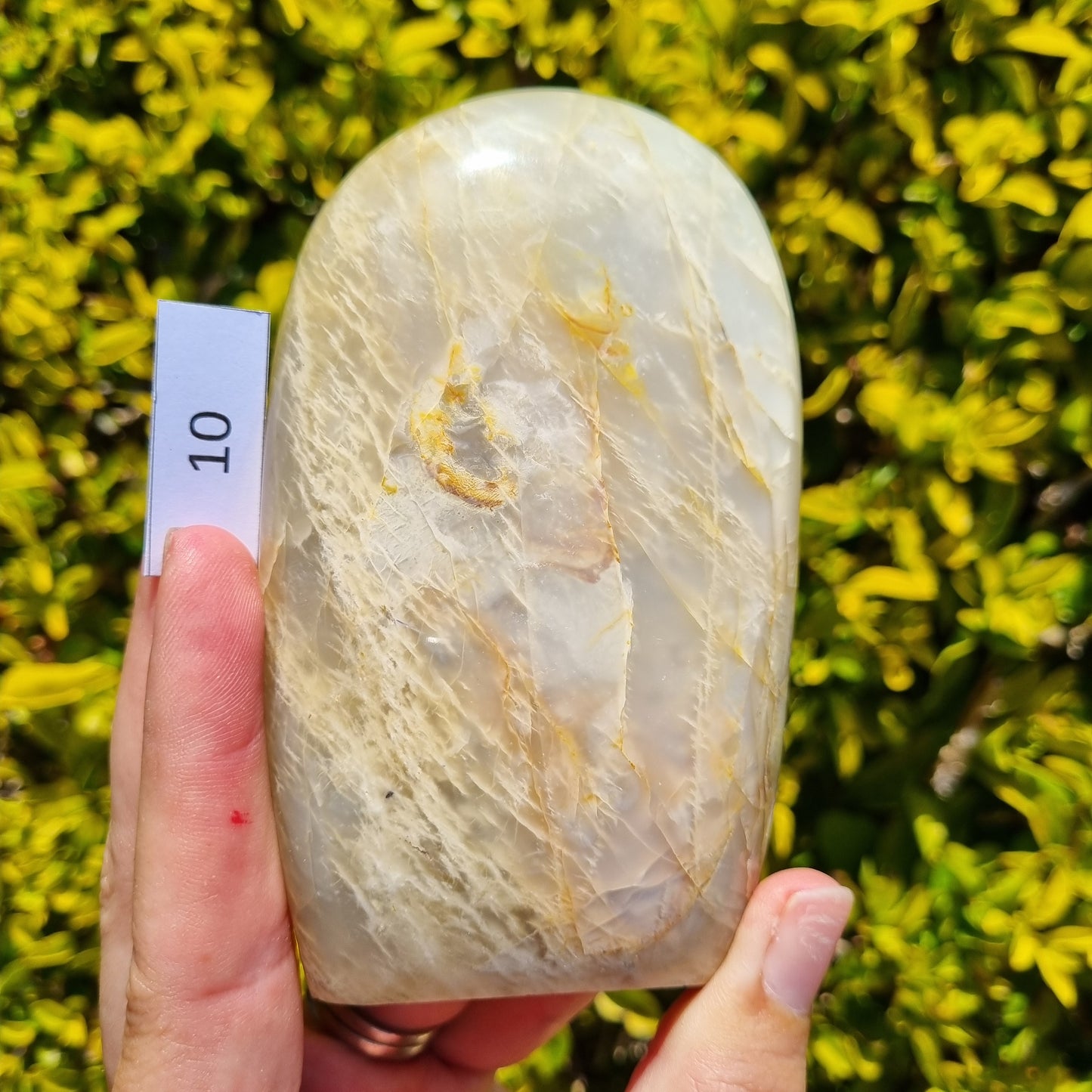 Silver Moonstone Freeform