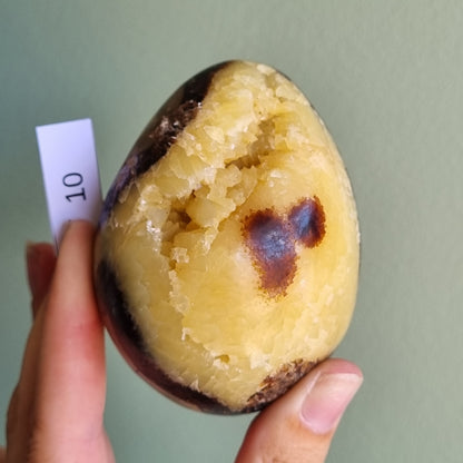 Yellow Septarian Dragon Egg - Madagascar - Smaller Sizes