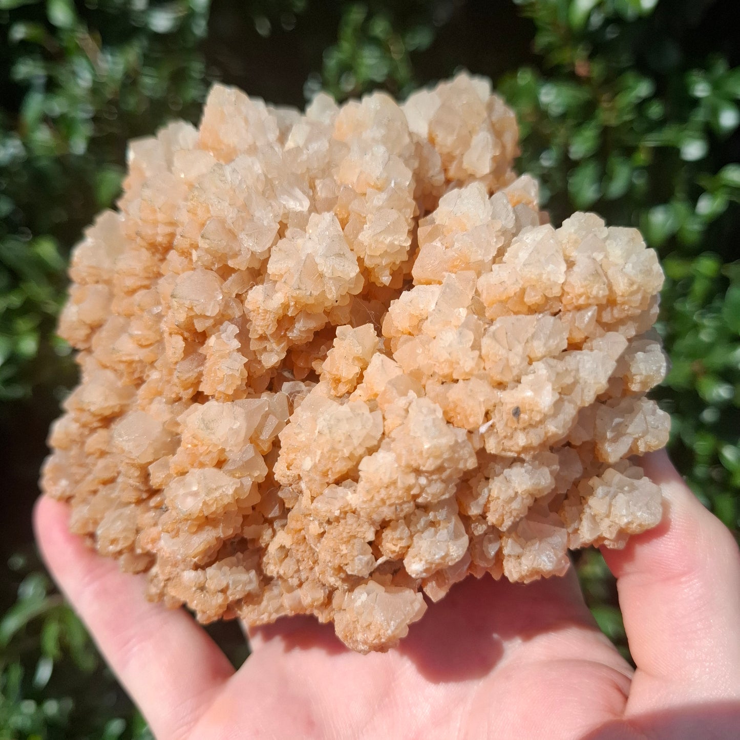 Calcite Cluster - China - 762g