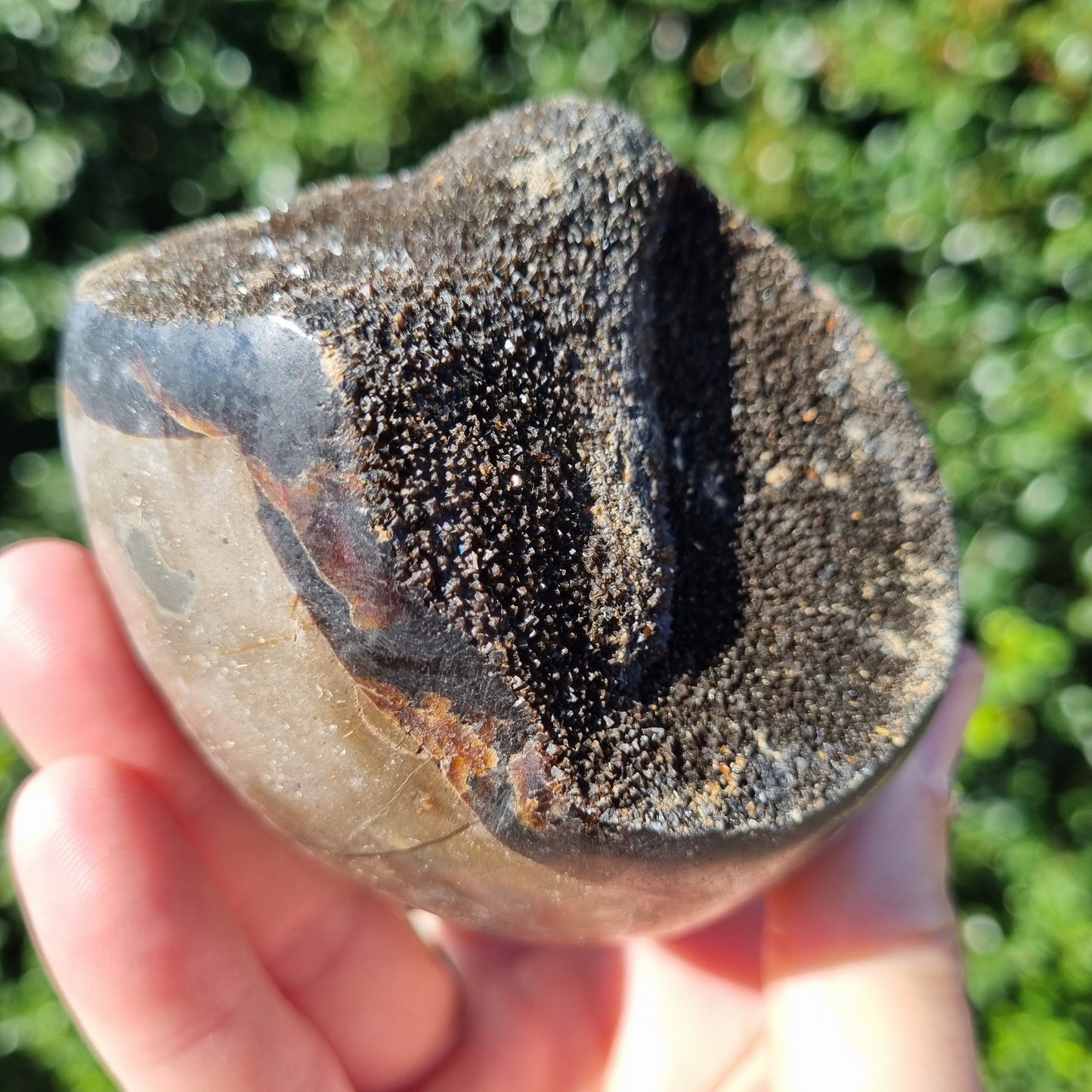 Septarian Dragon Egg - Madagascar - Small Sizes