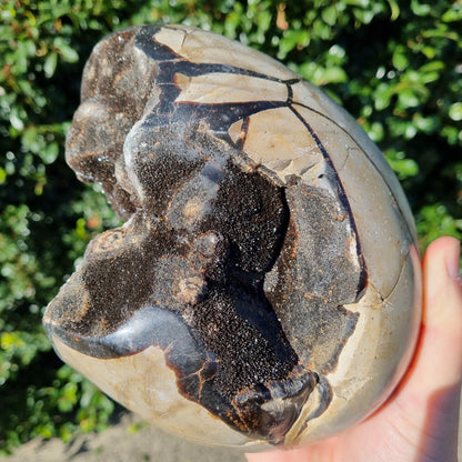 Septarian Dragon Egg - Madagascar - 4.232kg