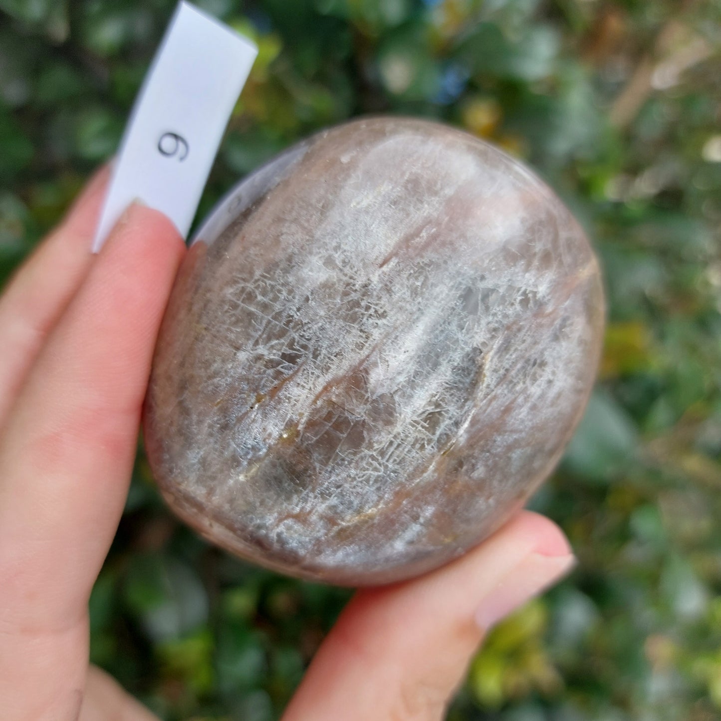 Black Moonstone Palm Stone - Madagascar - Nice flash!