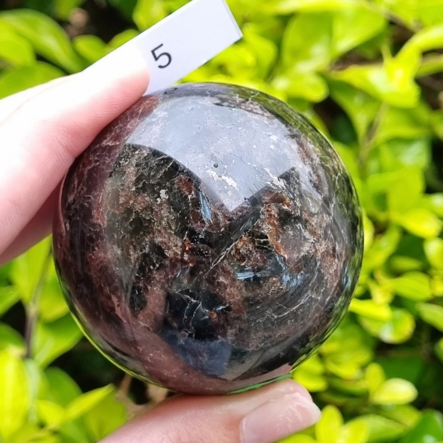 Garnet in Arfvedsonite Sphere - China