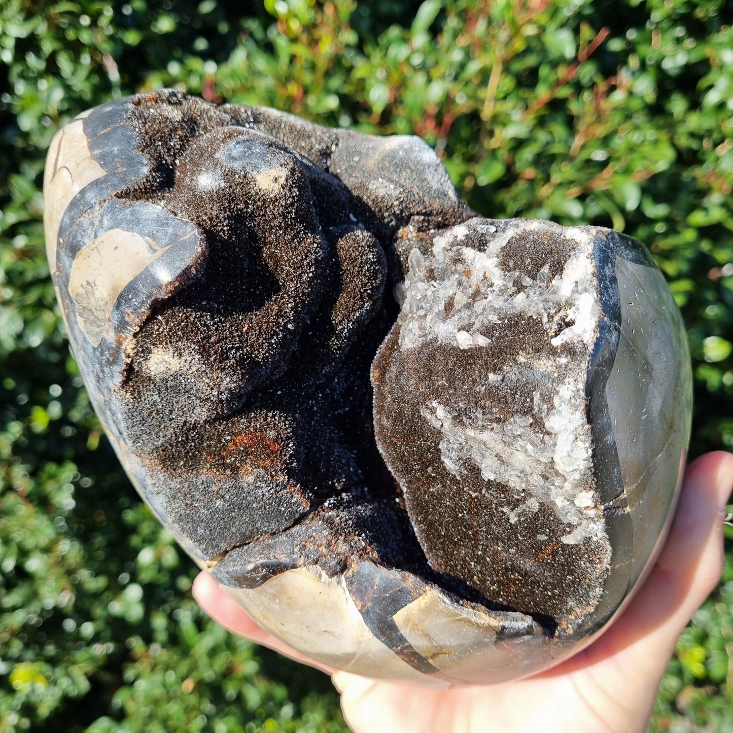 Septarian Dragon Egg - Madagascar - 4.232kg