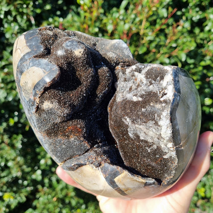 Septarian Dragon Egg - Madagascar - 4.232kg