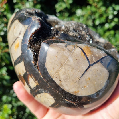Septarian Dragon Egg - Madagascar - 2.121kg