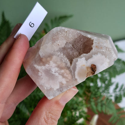 Flower Agate Freeforms