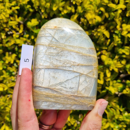 Silver Moonstone Freeform