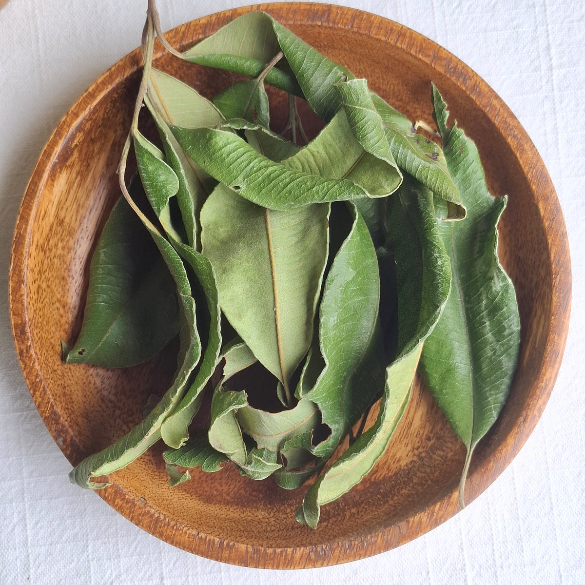 Lemon Myrtle Leaves