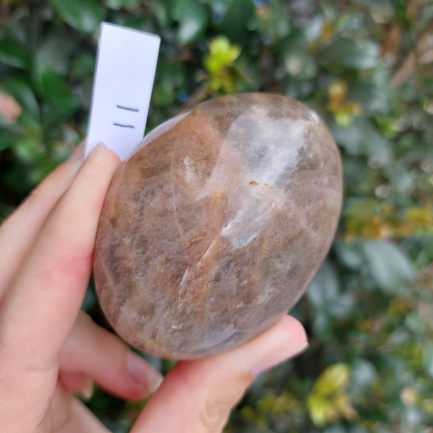 Black Moonstone Palm Stone - Madagascar - Nice flash!