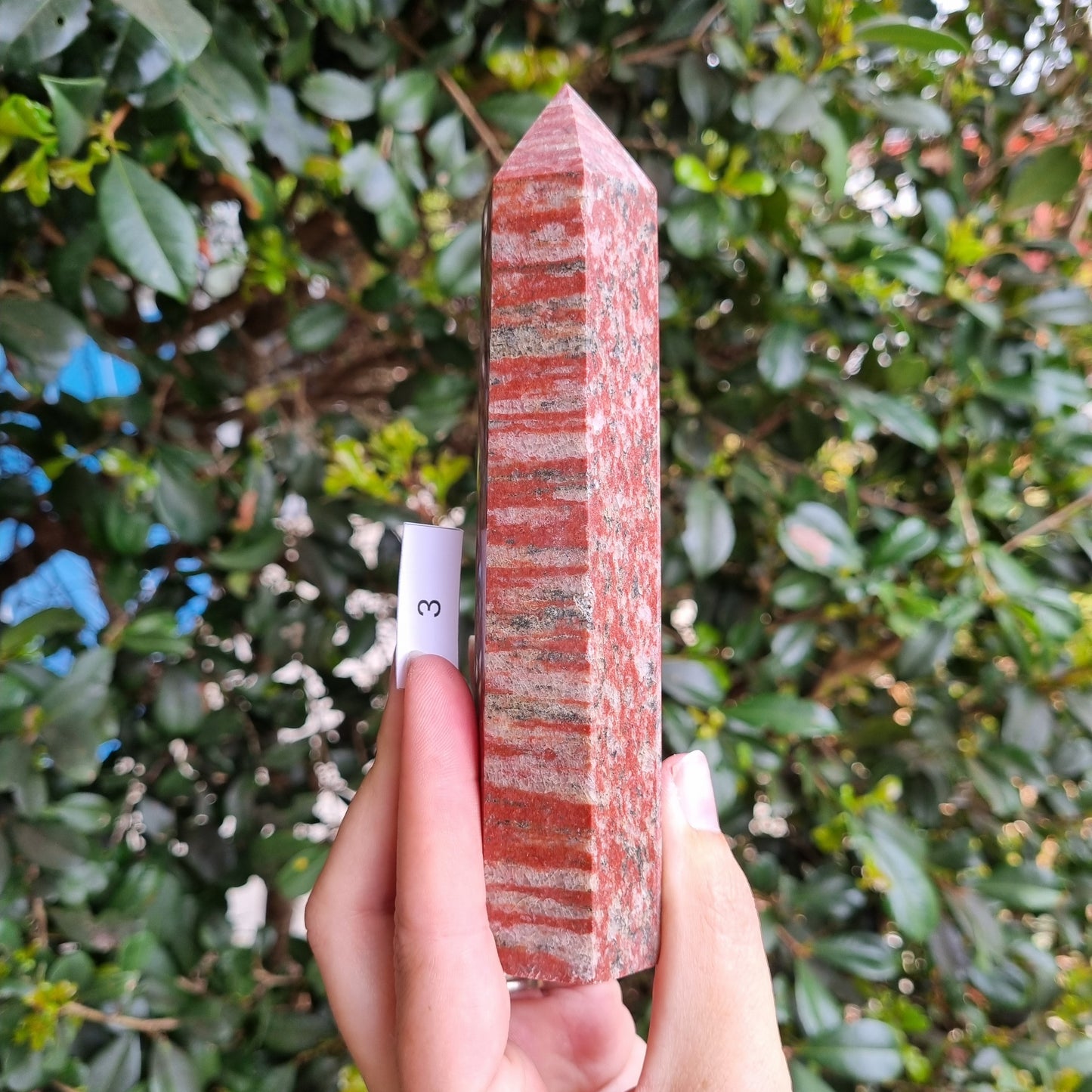 Tiger Granite Towers - India