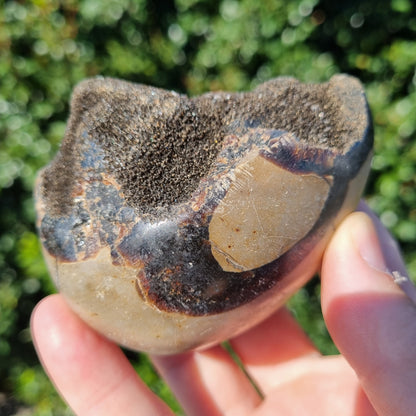 Septarian Dragon Egg - Madagascar - Small Sizes
