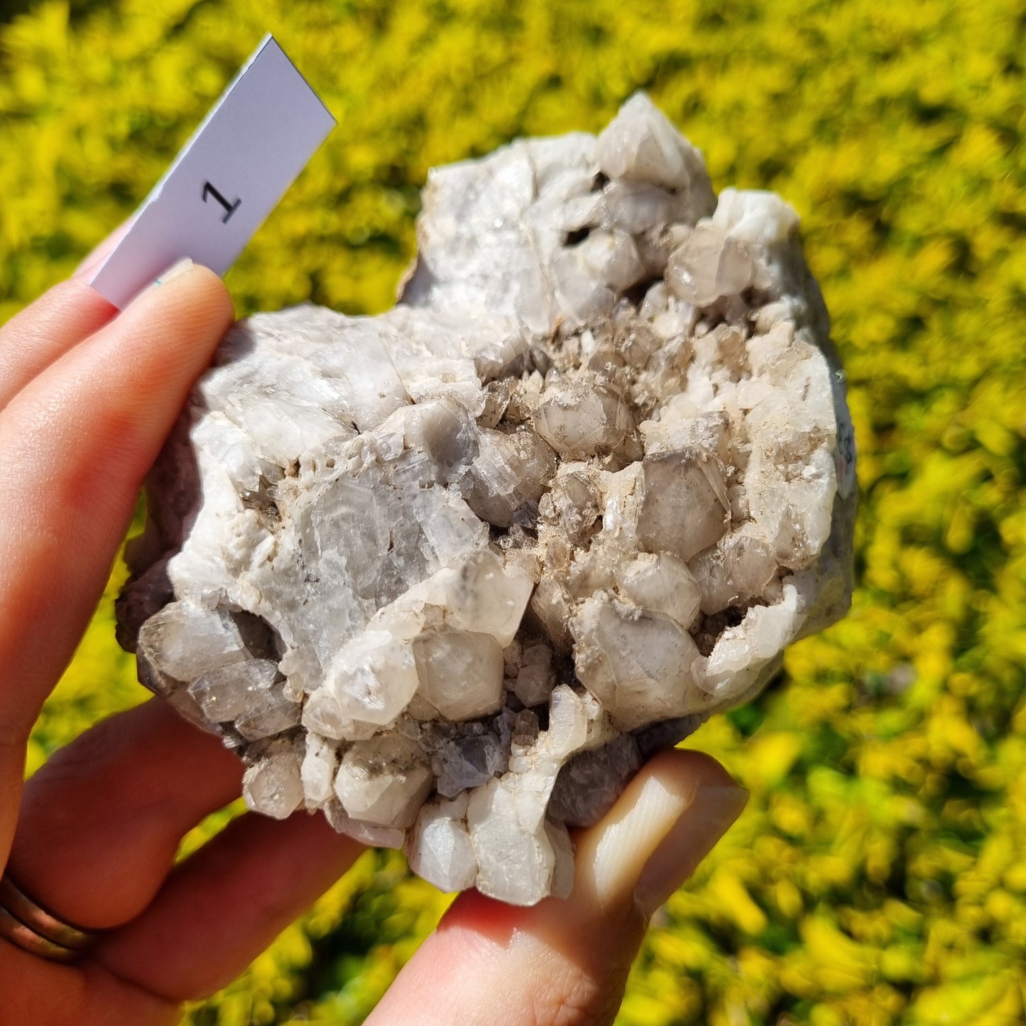 Quartz Cluster - Australia
