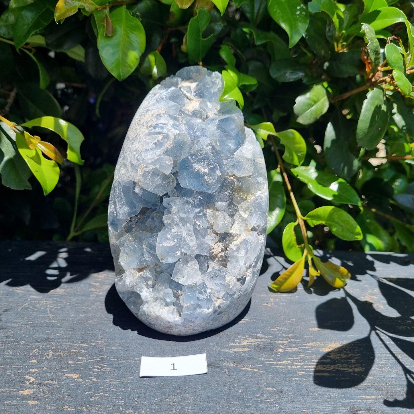 Celestite Standing Freeform Cluster - Madagascar