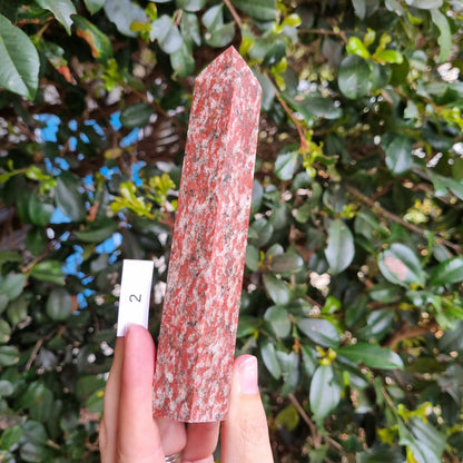 Tiger Granite Towers - India